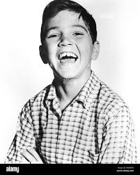 THE DONNA REED SHOW, Paul Petersen, 1958-1966 Stock Photo