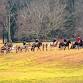 Formal Season: Myopia Schooling Field — Myopia Hunt event image