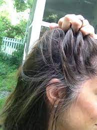 7 Months Most Of My Silvers Are Along My Part And Hairline When I Put It Up There Is A Lot More Gray Hair Growing Out Silver Grey Hair Silver Hair
