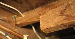 Fixing A Damaged Floor Joist Extreme How To Flooring Diy Flooring Diy Home Repair