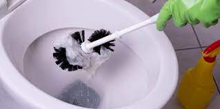 Your septic system contains a collection of living organisms that digest and treat household waste. Septic Or Sewer Safe Toilet Paper Flush With Confidence Charmin