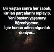 Gereklimi Ki Yeni Bastan Yasamak Yani Belki Daginik Kalmali Yada Guzel Soz Ozlu Sozler Alintilar