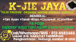 Penyediaan baja organik yg lengkap bagi penyediaan medium lubang tanaman durian di pembangunan ladang durian moden. Supplier Baja Tahi Ayam 100 Organik Home Facebook