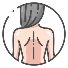 This article looks at female body parts and their functions, and it provides an interactive diagram. Back Female Human Body Free Icon Of Human Body Color
