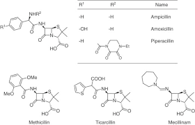 Image result for Extended Spectrum Penicillin