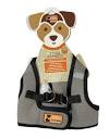 Amazon.com : The dog walker company Reflector Accent Harness ...