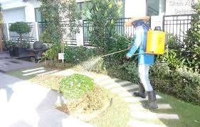 Untuk penyemburan tumbuhan dalaman, 3 ml racun serangga dicairkan dalam baldi air. Servic Racun Serangga Perosak Landskap Rumah Anda Home Furniture Gardening On Carousell