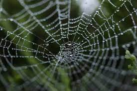 The Deceitfulness Of Riches | Understanding The Gospel