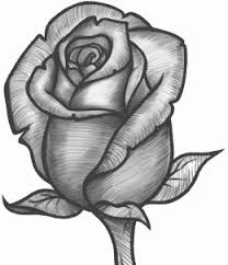 How To Draw A Rose Bud Rose Bud Step By Step Flowers Pop Culture Free Online Drawing Tutorial Added By Dawn February Rose Sketch Roses Drawing Rose Art