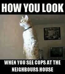 Pin By Barbara Malone Msfrugalady On Funny Stuff Funny Pictures Funny Cute Funny