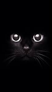 We did not find results for: Imagenes De Fondo De Pantalla Los Mejores Wallpapers Para Tu Celular Todo Imagenes