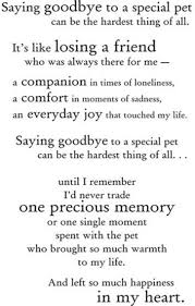Pin By Dani On Words Pet Poems Dog Quotes Pet Loss Grief