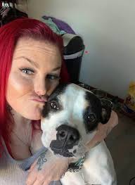 Lost dog Zoey in Vandergrift area?