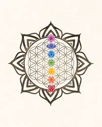 We did not find results for: Flower Of Life Chakra Healing Mandala Digital Art By Blue Press