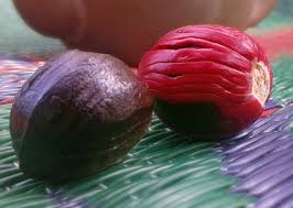 Khasiat buah pala banyak yang tidak diketahui oleh orang. Foto Gambar Khasiat Manfaat Buah Pala Keposiasi Com Yopie Pangkey 20151015 135529 Keposiasi