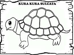 Menurut wikipedia binatang adalah organisme eukariotik multiseluler yang membentuk kerajaan biologi animalia. Kanvas Mewarnai Sketsa Bergambar Seri Hewan Isi 10 Lembar Lazada Indonesia