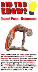 Pin On Yoga Poses For Strength And Flexibility