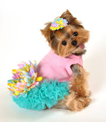 Leilani Dog Dress Pink And Aqua Pastel Dress For Dogs Cute Dog Clothes Small Dog Dresses Dog Clothes Patterns