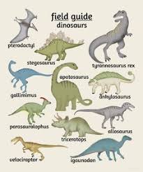 23 Best Dinosaur Posters Images Dinosaur Posters