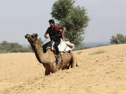 ˈkʌnːəɖɑː) or kanarese /kænəˈriːz/, is a language spoken in india predominantly in the state of karnataka. 15 Camels Used For Stunt For Vikram Ravichandran S Debut Film Kannada Movie News Times Of India