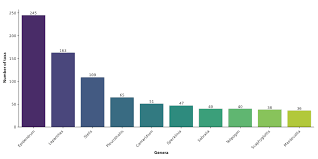 Image result for Microcharis remotiflora
