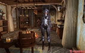 герои меча и магии 3 моды на новые города Bronya Delfiny Bronya I Odezhda Mody Dlya Skyrim Katalog Modov Tes Game V 2020 G Delfiny Bronya Rim