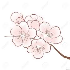 30 6 spring flower beautiful. How To Draw A Cherry Blossom Flower