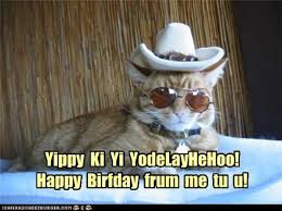 Sad cat cowboy hat meme. Happy Birthday Anoldcowhand Cats Know Your Meme