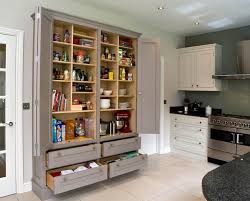 Semi Recessed Pantry Pantry Design Stand Alone Kitchen Pantry Kitchen Pantry Design
