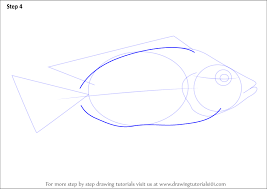 Draw the outline of the upper body of the fish. Learn How To Draw A Tilapia Fishes Step By Step Drawing Tutorials