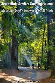 Check spelling or type a new query. Redwood National Park Camping Guide Park Ranger John