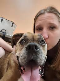 It's never easy to say goodbye … I love you my baby boy 😢 Rest in peace  Gib, daddy will miss you .. Gibson “The Explorer” 2009