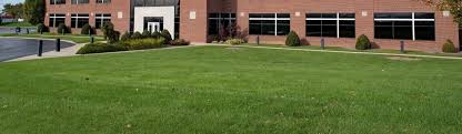 The vast majority of the companies can provide you with organic fertilizers and other treatments that will finally, the professionals will provide you with tips on how to care for your lawn. Commercial Lawn Services For Southeast Michigan 545 Lawn Care