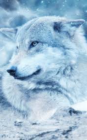 You can also upload and share your favorite wolf 4k desktop wallpapers. Hd Wolf Phone Wallpapers Wallpaper Cave
