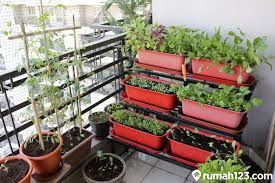 Memiliki kebun sendiri di rumah akan memberikan banyak keuntungan. 7 Inspirasi Tanaman Sayur Di Kebun Rumah Mungil Penuh Manfaat Rumah123 Com