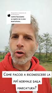 Riconoscere la pipì normale dalla marcatura del cane