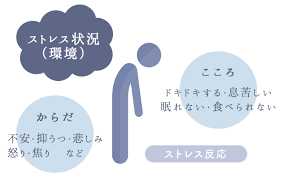 習志野市 津田沼 メンタルクリニック こころの杜クリニック 診療の特徴