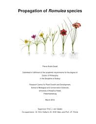 Habitat kirby oak and red gloss metal leg side table. View Open Researchspace University Of Kwazulu Natal