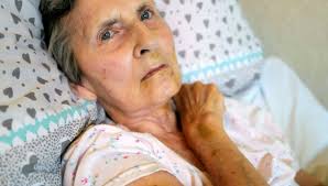 Funksjonshemmede Diana (76) angrepet av rotte