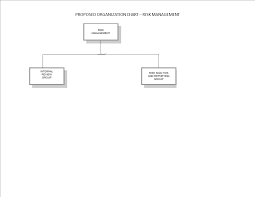 Risk Management Organization Chart Templates At