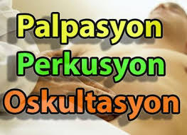 Sagligim Palpasyon Perkusyon Ve Oskultasyon Website Resources