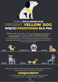 Check spelling or type a new query. Projekt Yellow Dog Wiecej Przestrzeni Dla Psa Zolta Wstazka Kokardka Mucha Lub Apaszka Przyczepiona Do Smyczy Lub Obrozy Oznacza Dog Projects Dogs Pets
