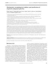 Image result for Euphorbia pseudopetiolata