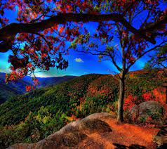 The serene, tranquil, sometimes terrifyingly dangerous beauty of good ol' planet earth. Download Nature Hd Wallpaper By Aniket062 55 Free On Zedge Now Browse Millions Of Popular Landscape W Best Nature Images Nature Images Nature Photography