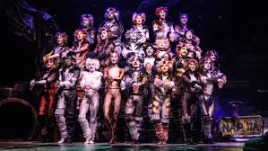 Cats broadway cast 2016 : Cats Movie Everything To Know About Taylor Swift Idris Elba Film The Hollywood Reporter