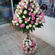 Fex bv is a young and dynamic export company specialized in export of cut flowers and pot plants to the eastern european market in countries such as ukraine and russia. Ù…Ø­Ù„Ø§Øª Ø¨ÙŠØ¹ Ø£Ø²Ù‡Ø§Ø± ÙÙŠ Ø£Ø¨ÙˆØ¸Ø¨ÙŠ Ù…ÙˆÙ‚Ø¹ Ø§Ù„Ø¹Ø±ÙˆØ³
