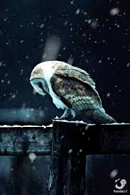 Directed by todd philips, the film is an origin for the character and stars joaquin phoenix in the titular role. Joker 2019 Teljes Film Magyarul Online Mozicsillag