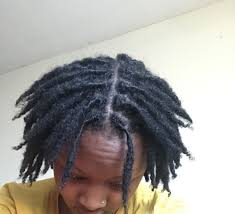 3 Months Locd Locs Hairstyles 4c Hairstyles Hair
