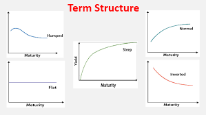 Term Structure Of Interest Rate Definition Theories Top 5 Types
