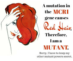 Mcr1 Gene Mutation Mutation Red Hair Redheads